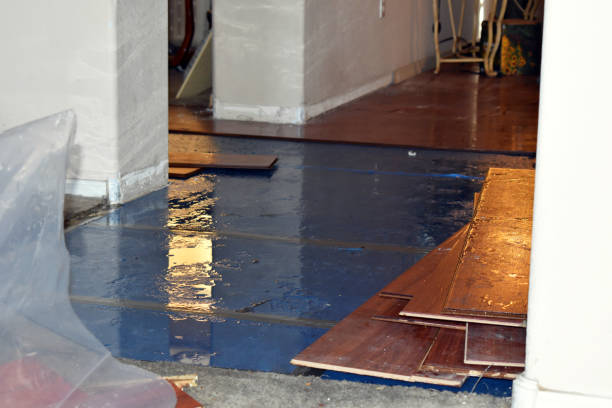 Professional Water Damage technician working in McHenry, IL
